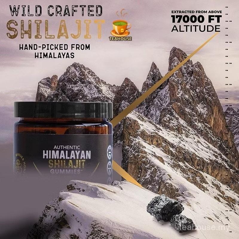 Authentic Himalayan Shilajit Gummies | Sweetened with Organic Manuka Honey | Natural Wellness & Vitality