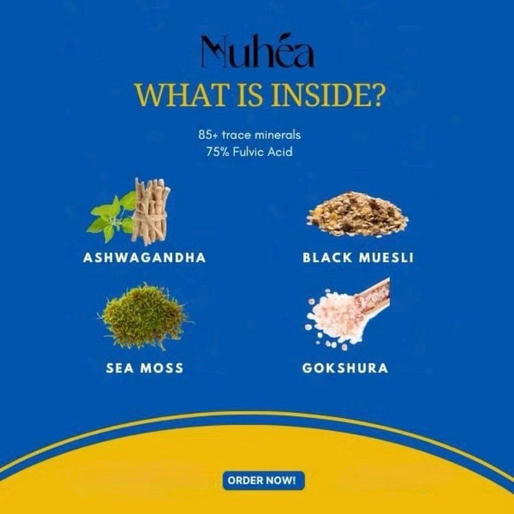Muhea Himalayan Shilajit Gummies – Natural Energy & Vitality Boost | 60 Gummies