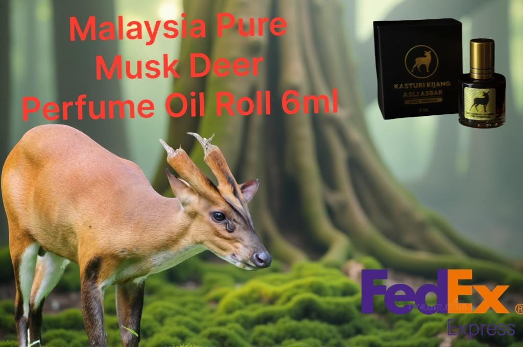 Pure Malaysia Musk Deer Perfume Oil Roll-On 6ml – Long Lasting Natural Unisex Attar Fragrance