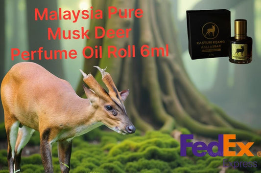Pure Malaysia Musk Deer Perfume Oil Roll-On 6ml – Long Lasting Natural Unisex Attar Fragrance